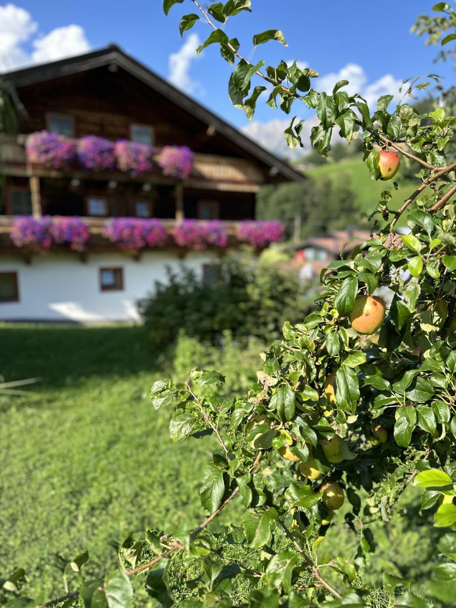 Ferienwohnung Steinernes Meer Maria Alm am Steinernen Meer Exteriör bild
